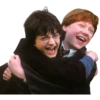 Harry Potter 26