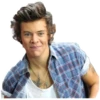 Harry styles curley master 23