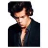 Harry styles curley master 25