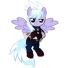 CloudChaser 19