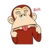 Crazy Monkey 29