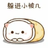 cute mochi cat 27