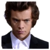 Harry styles curley master 26