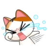 Japanese Kitty 26