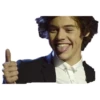Harry styles curley master 27