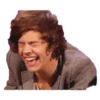 Harry styles curley master 28