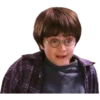 Harry Potter 30