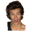Harry styles curley master 29