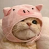Pro Kitties 5