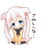 husky dog 5