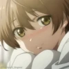 TOMODACHI 5