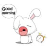 bunny 5