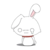 bunny 9