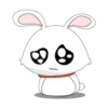 bunny 10