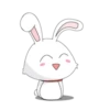 bunny 11