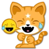 Mango 5