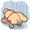 Cute teddy bear 'SOUFFLE' 7