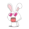 bunny 12