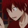 MHA 6