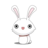 bunny 14