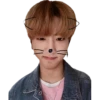 Han Jisung 11