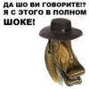 Dino_from_Odessa 12