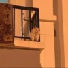 LollyGif 12
