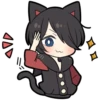 BLACK KITTEN 12