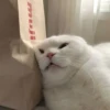 LollyGif 14