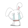 bunny 16