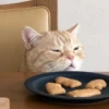 LollyGif 15