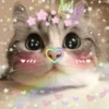 Pro Kitties 20