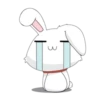 bunny 17