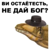 Dino_from_Odessa 14
