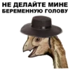 Dino_from_Odessa 16
