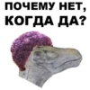 Dino_from_Odessa 20