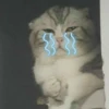 Pro Kitties 25