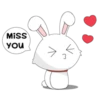 bunny 23