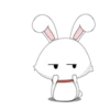 bunny 24