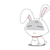 bunny 26