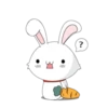 bunny 27
