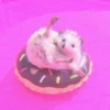 ANIMALS 25
