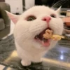 LollyGif 30