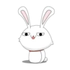 bunny 29