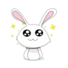 bunny 30