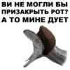 Dino_from_Odessa 28