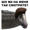 Dino_from_Odessa 30