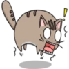 Chopin fat cat 2