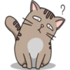 Chopin fat cat 3