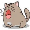 Chopin fat cat 5